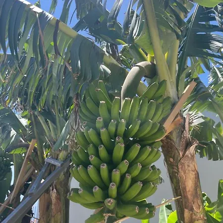 Villa King's Paradise