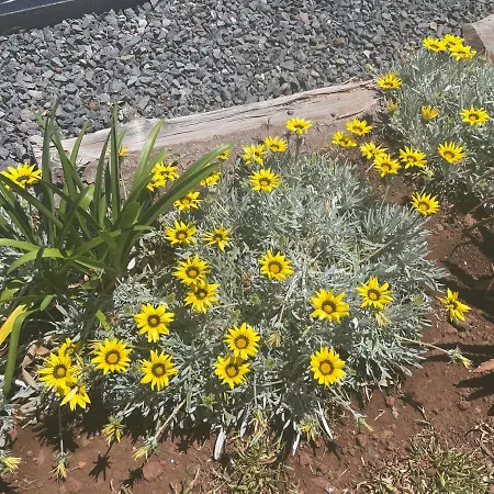 King's Paradise Estreito Da Calheta