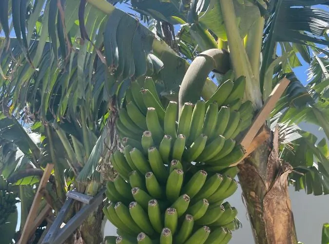 Villa King's Paradise