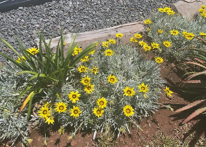 King's Paradise Estreito Da Calheta